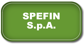 PRESTITO ONLINE Partner Spefin